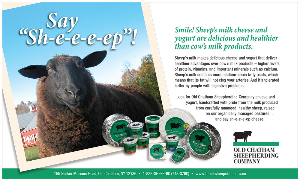 Print Ad for Old Chatham Sheepherding Company
