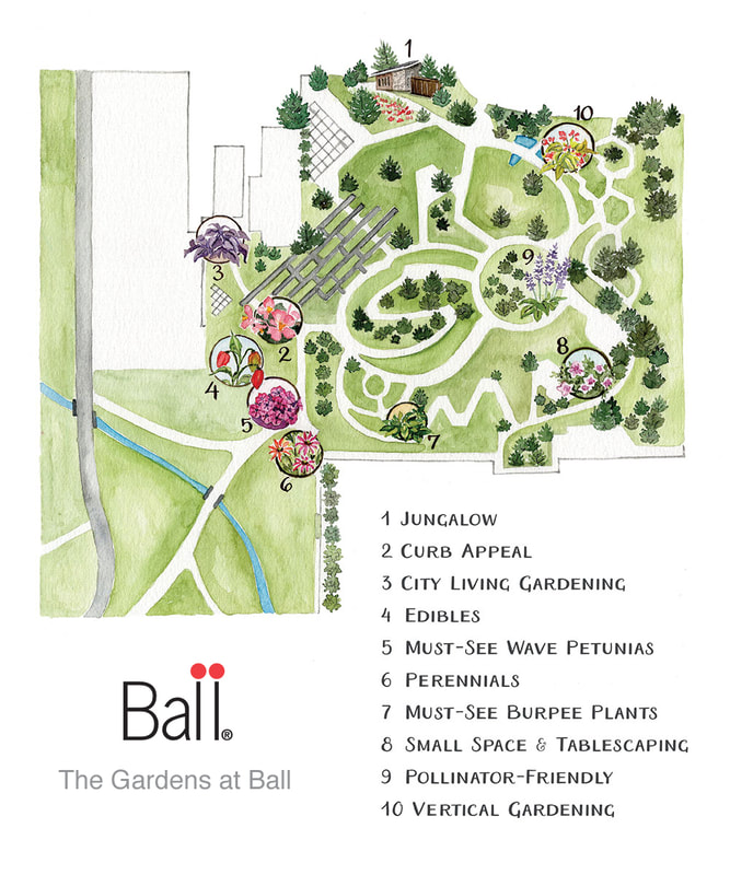 Garden Map Illustration for Ball Horticultural Company