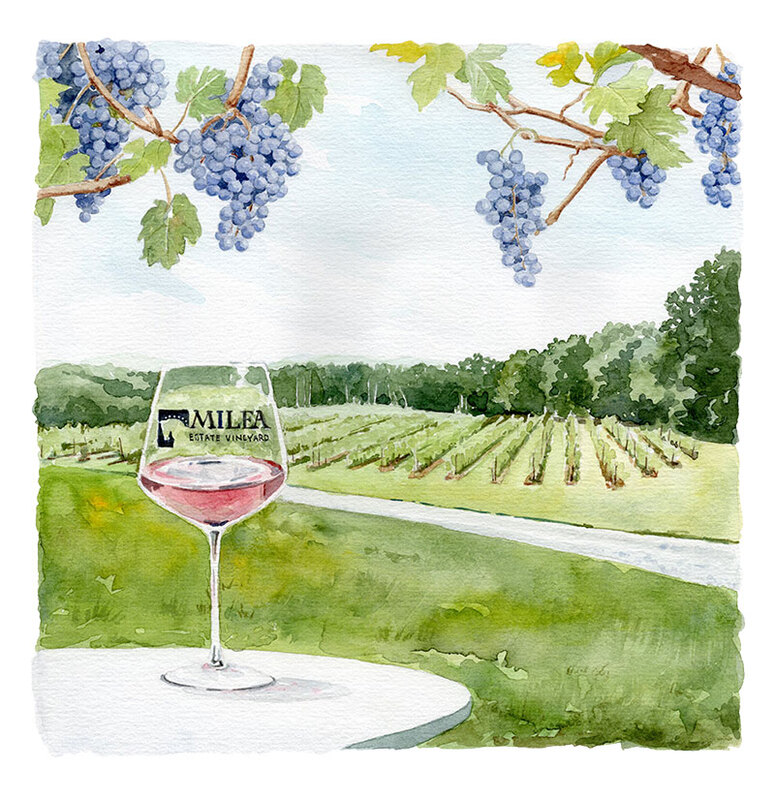Milea Vineyard - Dutchess Wine Trail Illustrations