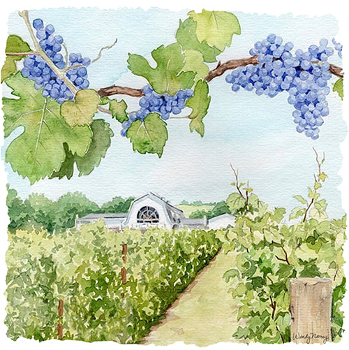 Millbrook Winery Dutchess Wine Trail Illustration