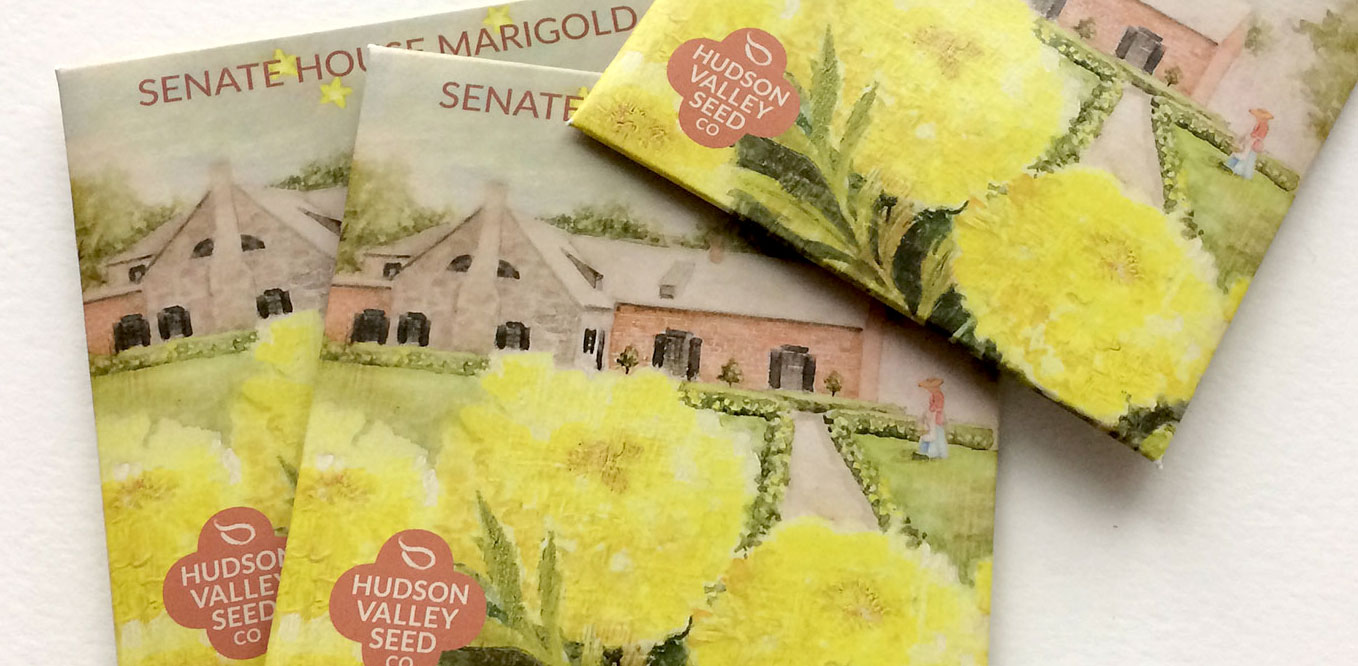 Hudson Valley Seed Marigold Packaging